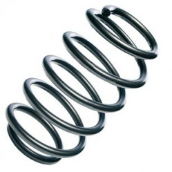 Category image for Springs