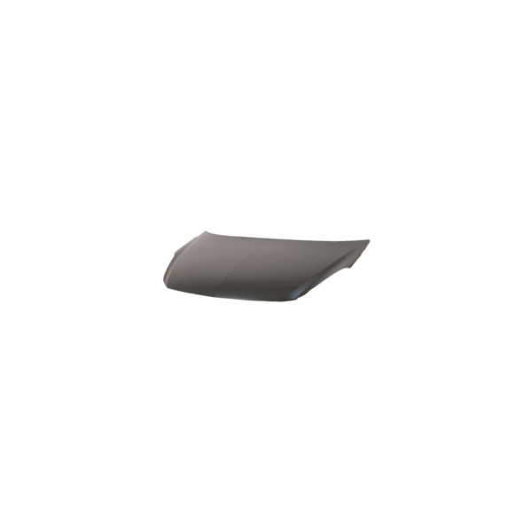 Bonnet image